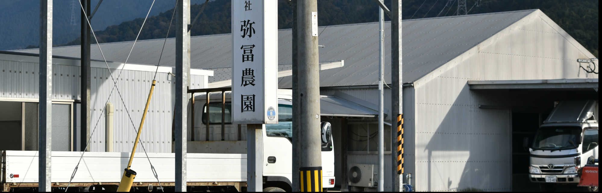 弥冨農園