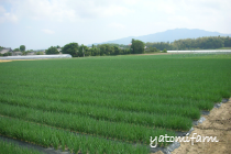生育弥冨農園
